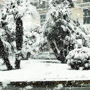 Flassans-sur-Issole 26/02/2018