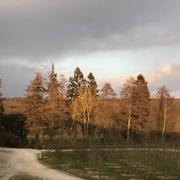 Soligny-la-Trappe 26/02/2018