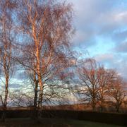 Launois-sur-Vence 26/02/2018