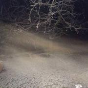 Ghisonaccia 26/02/2018