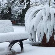 Comps-sur-Artuby 26/02/2018