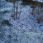 Damery 27/02/2018