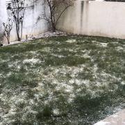 Fontenay-le-Comte 27/02/2018