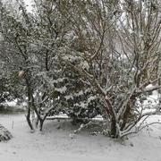 Biarrotte 28/02/2018