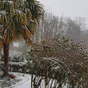 Saint-Cricq-Chalosse 28/02/2018