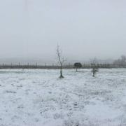 Vic-Fezensac 28/02/2018