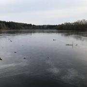 Soligny-la-Trappe 28/02/2018