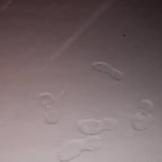 Genouillé 28/02/2018