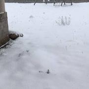 Hérépian 28/02/2018