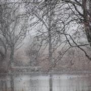 Château-Arnoux-Saint-Auban 01/03/2018