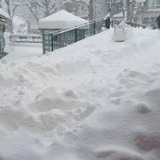 Saint-Léger 01/03/2018