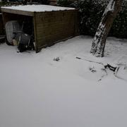 Pleyber-Christ 01/03/2018