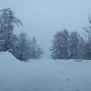 Enchastrayes 01/03/2018