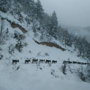 Entrevaux 01/03/2018