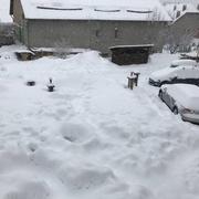 Meyronnes 03/03/2018