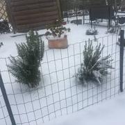 Saint-Maurice-sur-Aveyron 04/03/2018