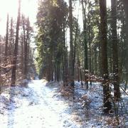 Cumières-le-Mort-Homme 11/03/2018