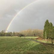 Ploumilliau 11/03/2018