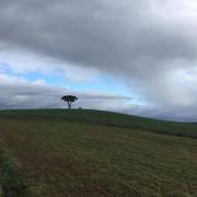 Saint-Germier 11/03/2018