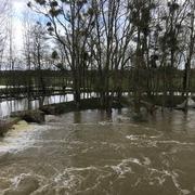 Montbizot 14/03/2018