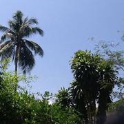 Prachuap Khiri Khan 16/03/2018