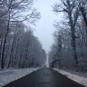 Aumont-en-Halatte 17/03/2018