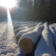 Bailleval 17/03/2018