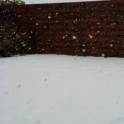 Le Drennec 18/03/2018