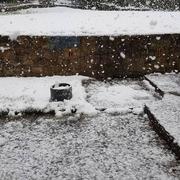 Coat-Méal 18/03/2018