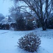 Trégarantec 19/03/2018