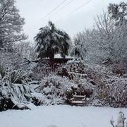 Gonneville 19/03/2018