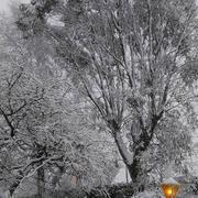 Le Drennec 19/03/2018