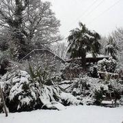 Gonneville 19/03/2018