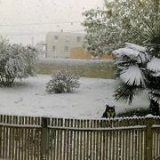 Frontenay-Rohan-Rohan 19/03/2018