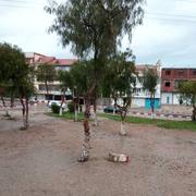 El Khroub 20/03/2018