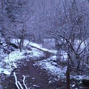 La Salvetat-sur-Agout 20/03/2018