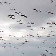 Sainte-Marie 20/03/2018