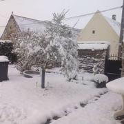 Épineuse 20/03/2018