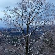 Pioggiola 21/03/2018