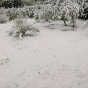 Méounes-lès-Montrieux 21/03/2018