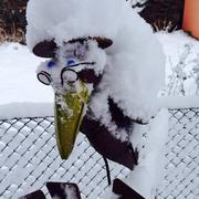 Siaugues-Sainte-Marie 26/03/2018