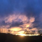 Wolschwiller 30/03/2018