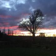 Saint-Sever-Calvados 30/03/2018