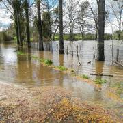 Châteaubriant 01/04/2018