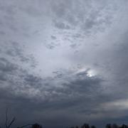 La Forêt-sur-Sèvre 02/04/2018