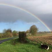 Béthines 04/04/2018