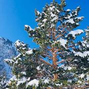 Saint-Lary-Soulan 06/04/2018