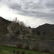 Molompize 08/04/2018