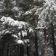 Bolquère 08/04/2018