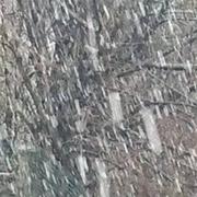 Saint-Martin-Vésubie 10/04/2018